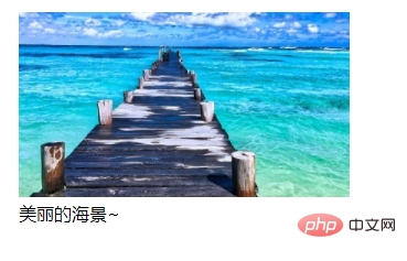 1640247371547878.png 1.png