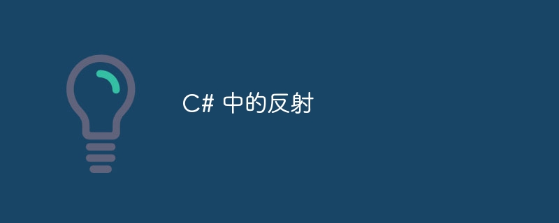 c# 中的反射