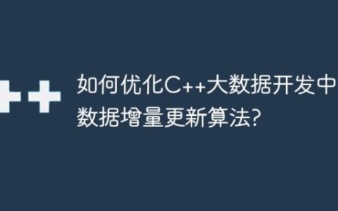 如何优化C++大数据开发中的数据增量更新算法?