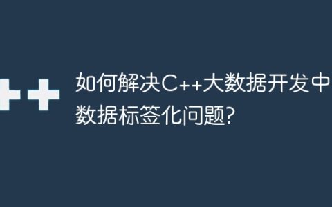 如何解决C++大数据开发中的数据标签化问题?