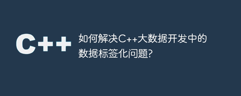 如何解决c++大数据开发中的数据标签化问题?