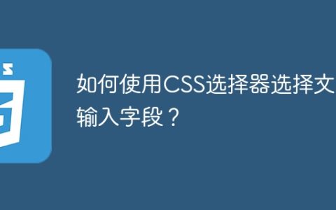 如何使用CSS选择器选择文本输入字段？