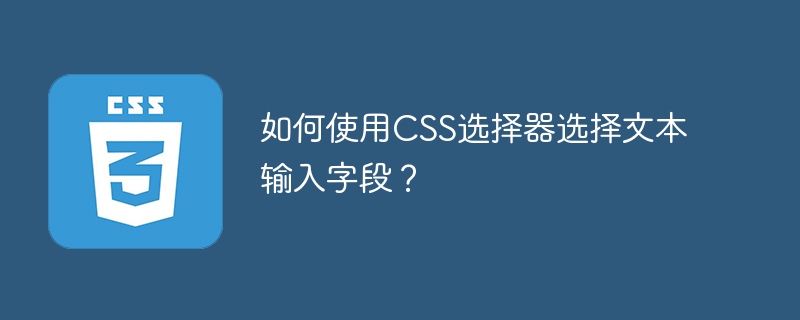如何使用css选择器选择文本输入字段?