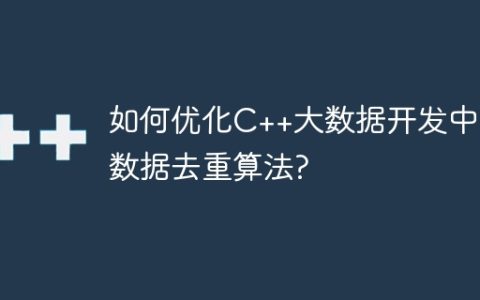 如何优化C++大数据开发中的数据去重算法?