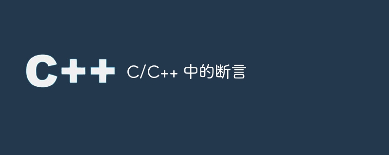 c/c++ 中的断言