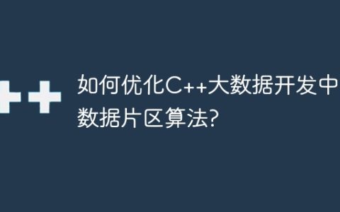 如何优化C++大数据开发中的数据片区算法?