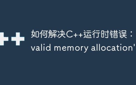 如何解决C++运行时错误：’invalid memory allocation’？