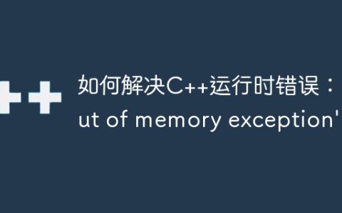 如何解决C++运行时错误：'out of memory exception'？