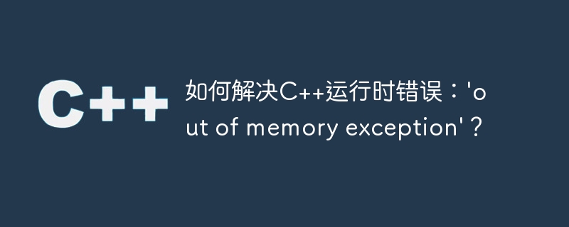 如何解决c++运行时错误:'out of memory exception'?
