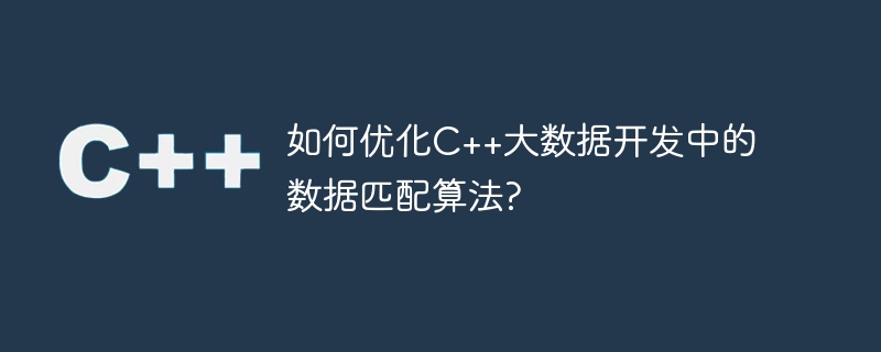 如何优化c++大数据开发中的数据匹配算法?