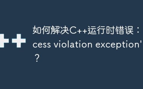 如何解决C++运行时错误：'access violation exception'？