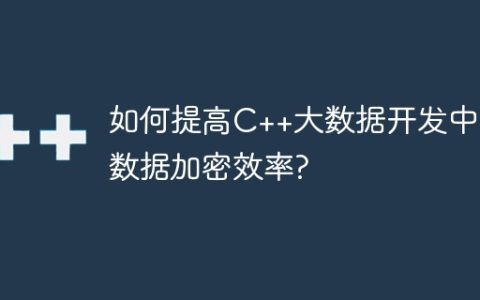 如何提高C++大数据开发中的数据加密效率?
