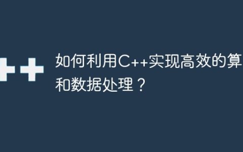 如何利用C++实现高效的算法和数据处理？