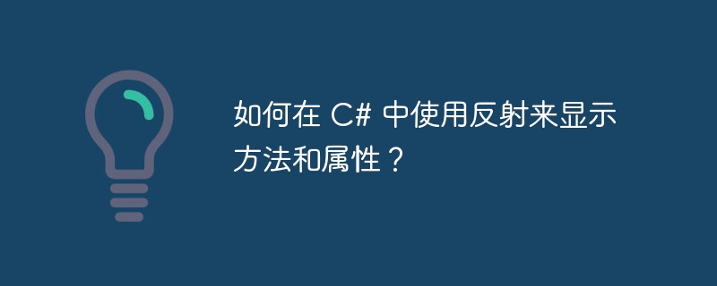 如何在 c# 中使用反射来显示方法和属性?
