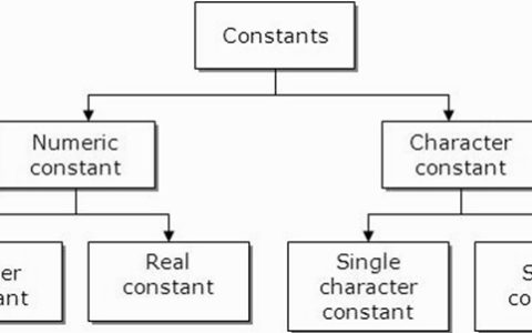 C语言中的常量是什么，可以举一个例子吗？