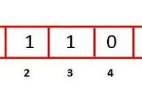检查给定二进制字符串的得分