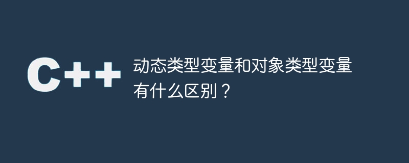 动态类型变量和对象类型变量有什么区别?