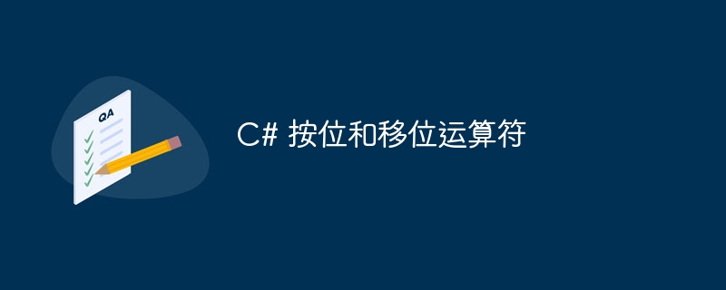 c# 按位和移位运算符