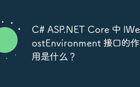 C# ASP.NET Core 中 IWebHostEnvironment 接口的作用是什么？