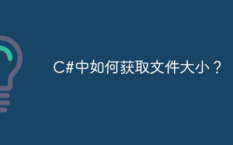 C#中如何获取文件大小？