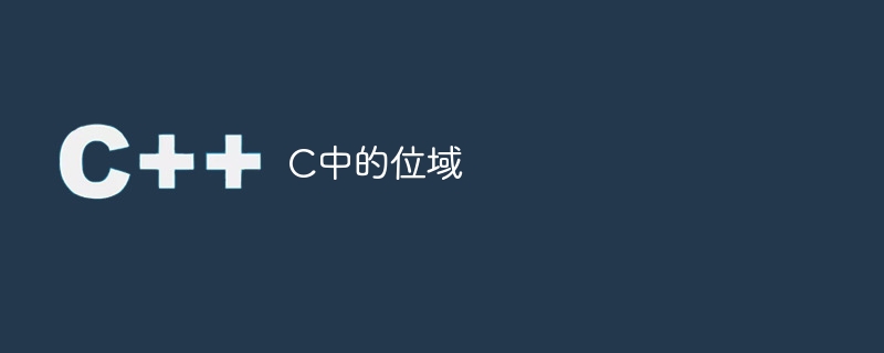 c中的位域