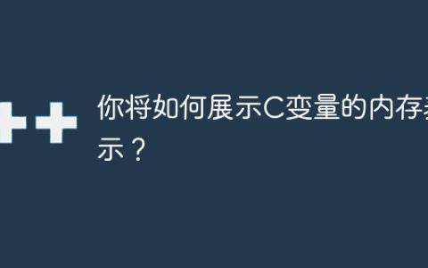 你将如何展示C变量的内存表示？