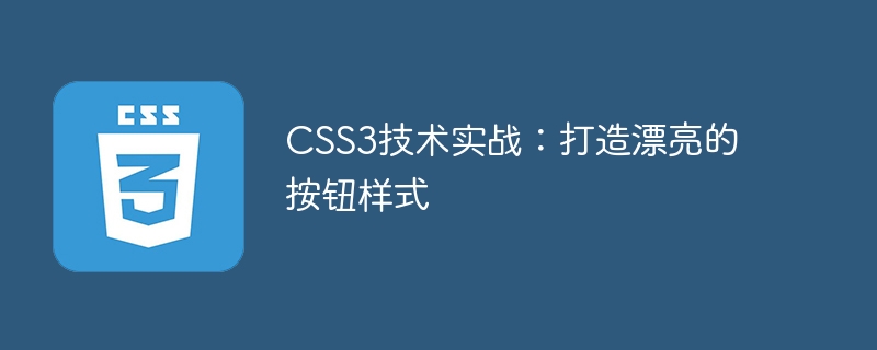 css3技术实战:打造漂亮的按钮样式