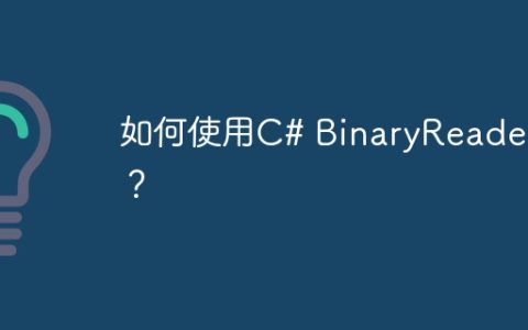 如何使用C# BinaryReader类？