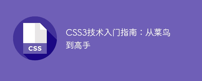 css3技术入门指南:从菜鸟到高手