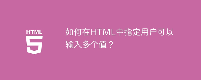 如何在html中指定用户可以输入多个值?