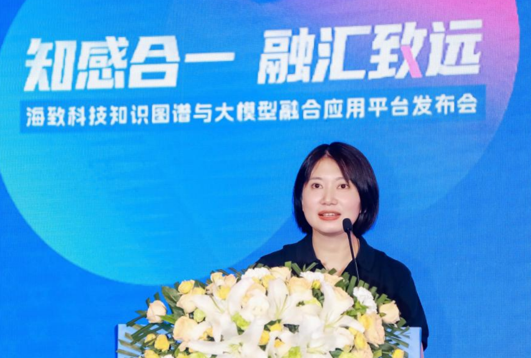 海致科技发布首个知识图谱融合大模型应用平台,助力国内百模大战
