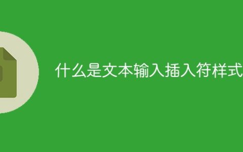 什么是文本输入插入符样式？