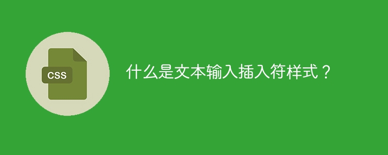 什么是文本输入插入符样式?