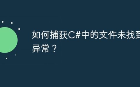 如何捕获C#中的文件未找到异常？