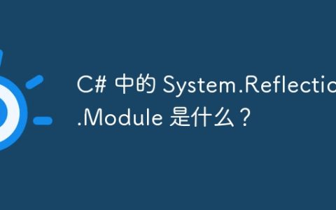 C# 中的 System.Reflection.Module 是什么？