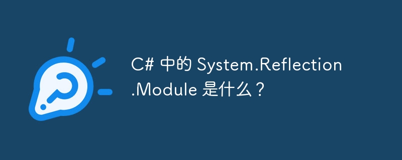 c# 中的 system.reflection.module 是什么?