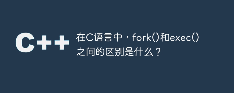 在c语言中,fork()和exec()之间的区别是什么?