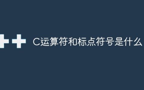 C运算符和标点符号是什么？