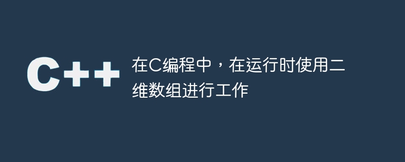 在c编程中,在运行时使用二维数组进行工作