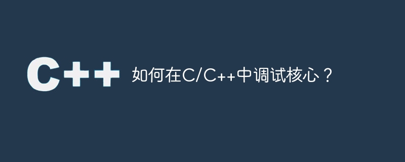 如何在c/c++中调试核心？