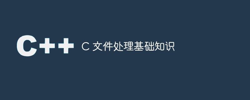 c 文件处理基础知识
