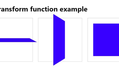 使用 CSS3 3D 变换函数