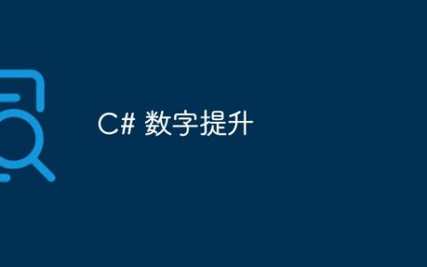 C# 数字提升