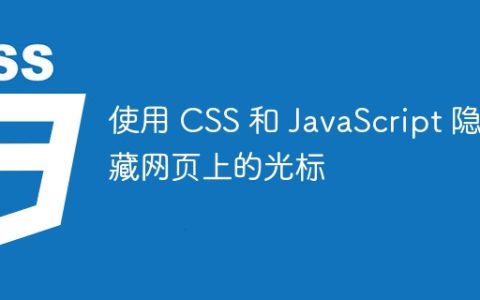使用 CSS 和 JavaScript 隐藏网页上的光标