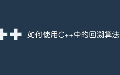如何使用C++中的回溯算法