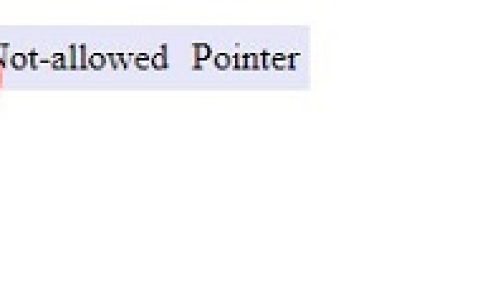 使用 CSS 更改光标的外观