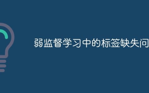 弱监督学习中的标签缺失问题
