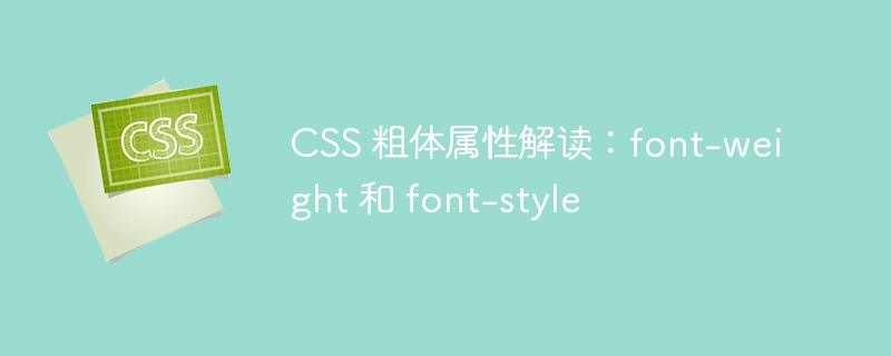 css 粗体属性解读:font-weight 和 font-style