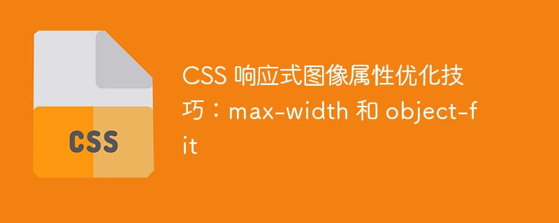 css 响应式图像属性优化技巧:max-width 和 object-fit