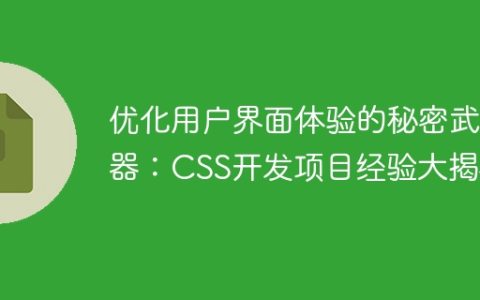 优化用户界面体验的秘密武器：CSS开发项目经验大揭秘